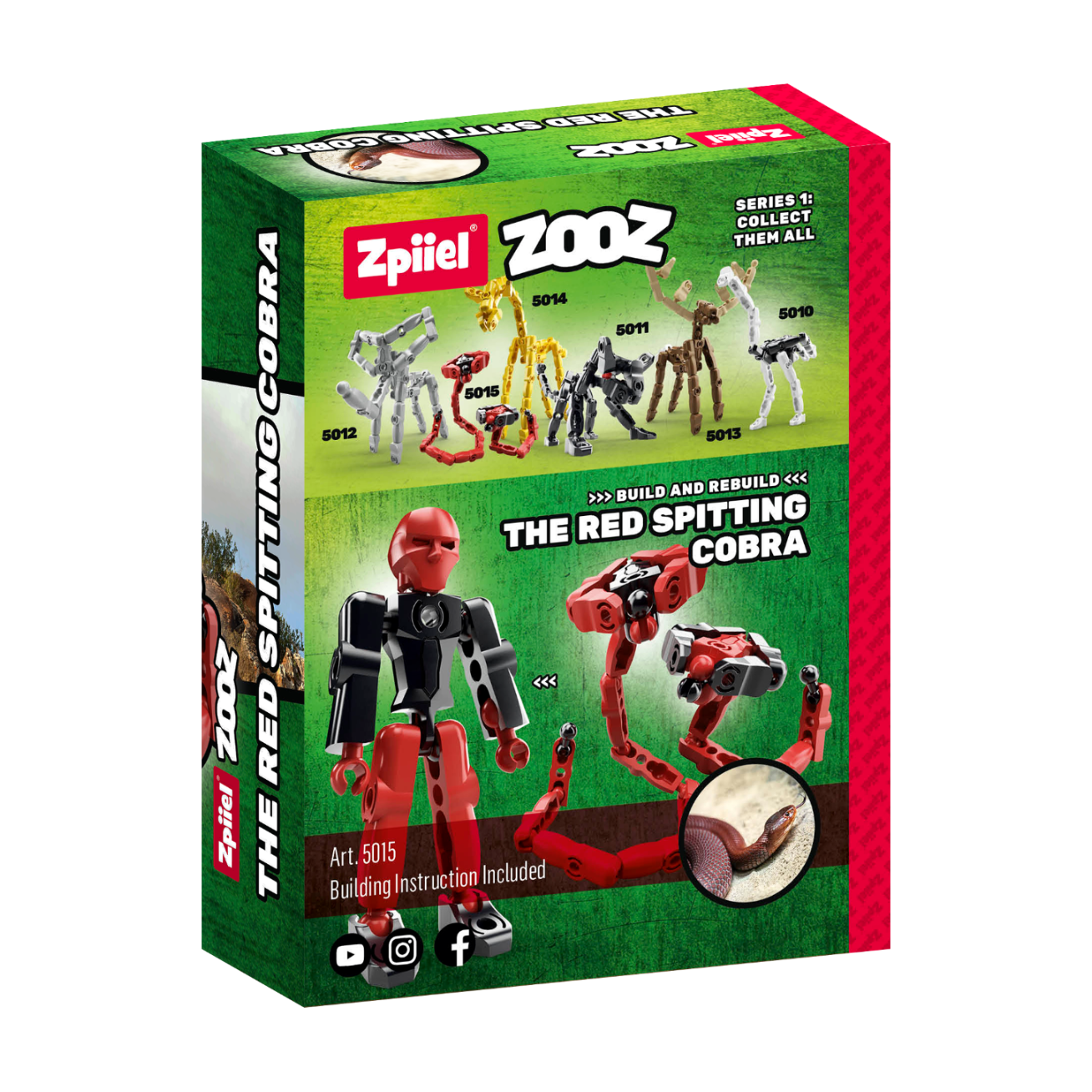 The Red Spitting Cobra